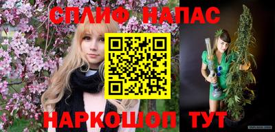 бошки Шелехов