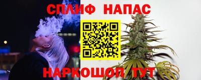 бошки Шелехов