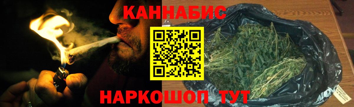 Бошки марихуана тримм  Вход с VPN  Грозный  Канабис ГИДРОПОН  Марихуана план 